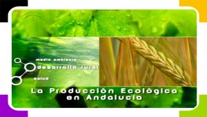 Agricultura ecológica_550x310